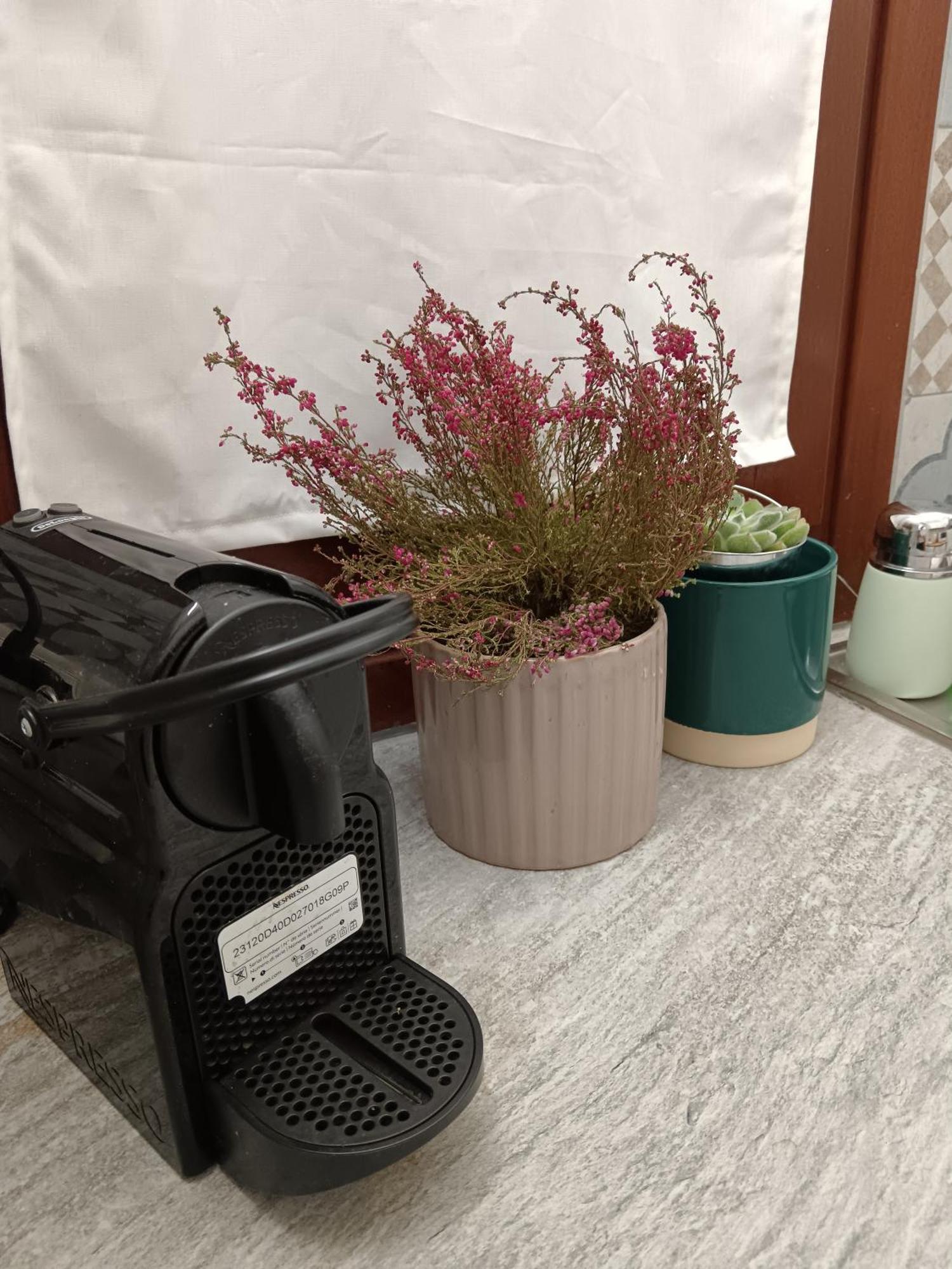 Casa Petri Home Spa 팔레르모 외부 사진